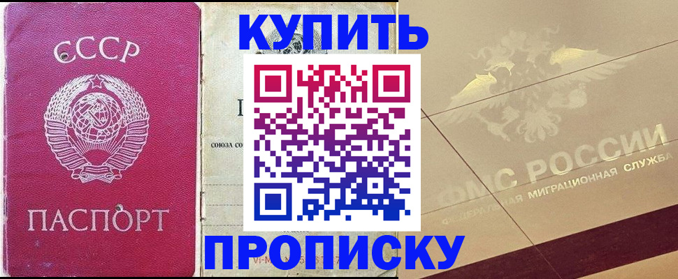 прописка для школы в Опочке