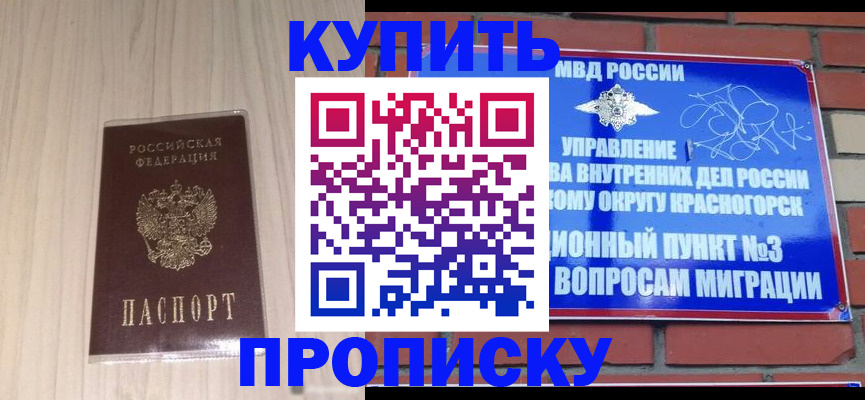 временная регистрация для всех в Опочке